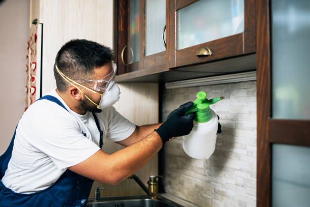 Best Cockroach Control Services  in Millington, TN