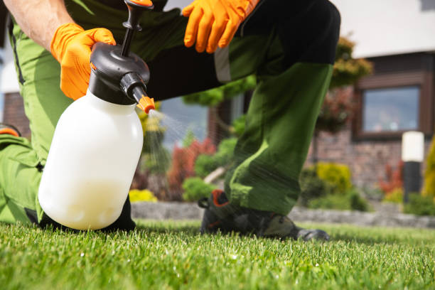 Best Wildlife Control Services  in Millington, TN