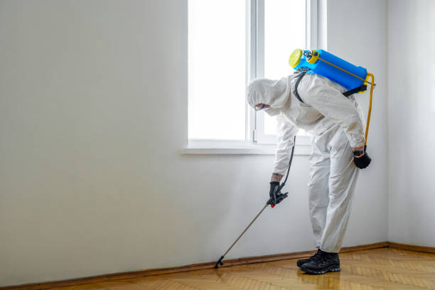 Best Pest Removal Services  in Millington, TN