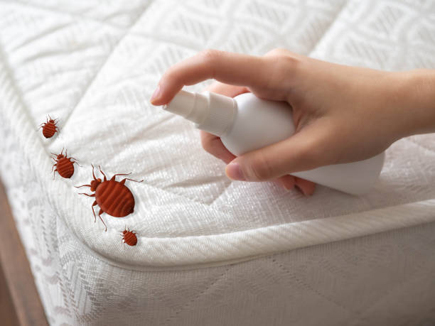 Trusted Millington, TN Pest Control Experts